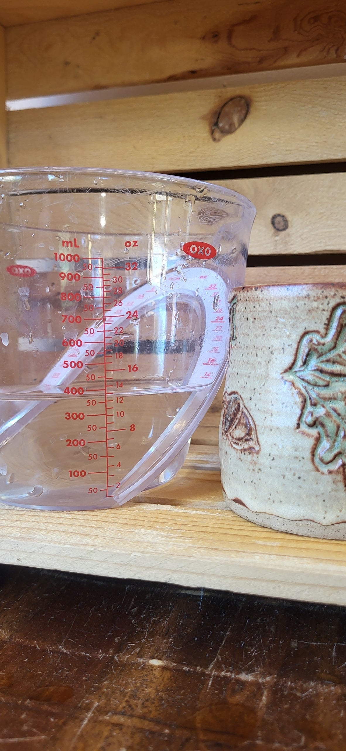 Oak & Acorns Cup #1 13oz