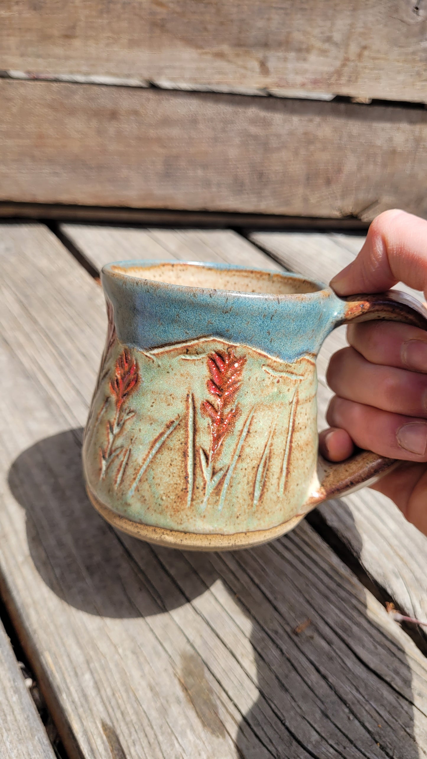 Mountain Thrown Indian Paintbrush in the Mountains Mug 10oz