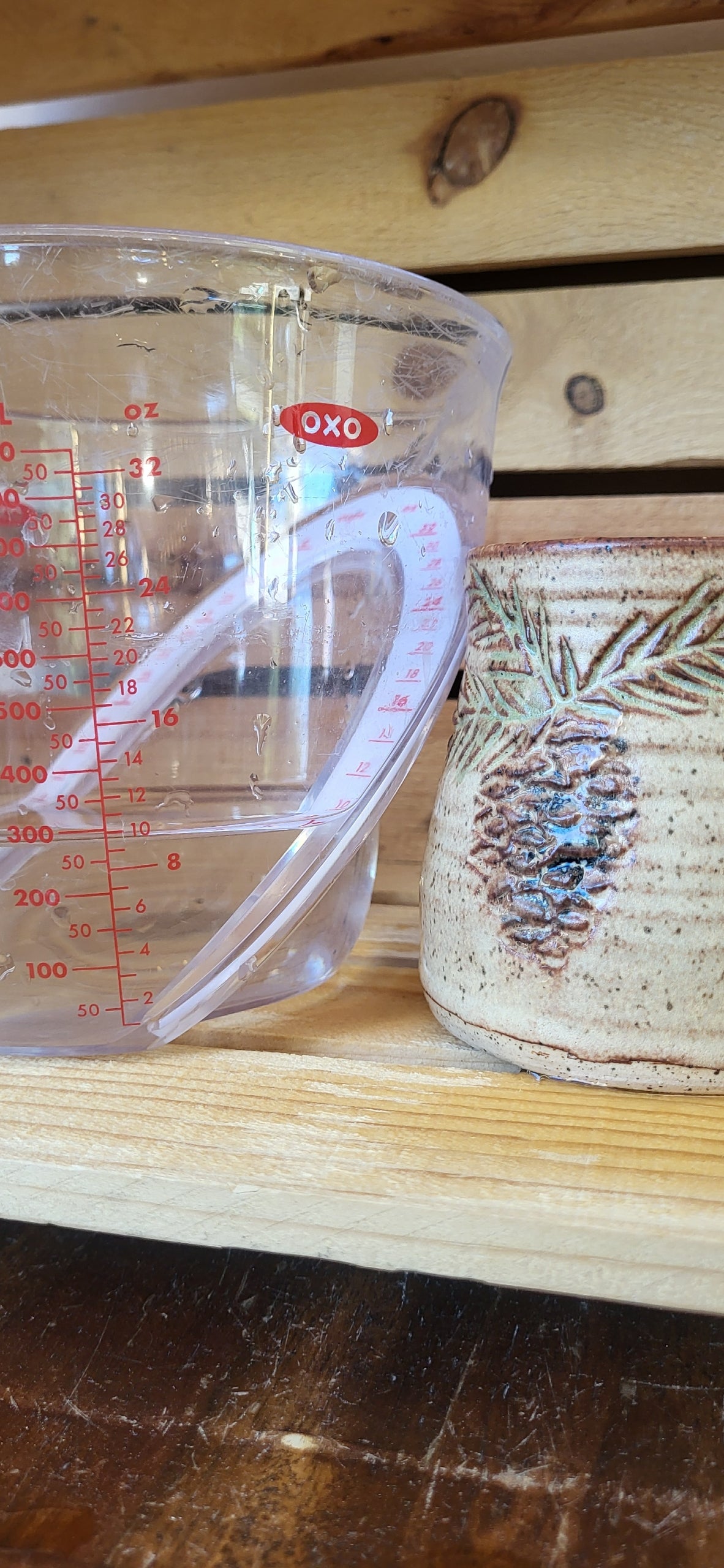 Mountain Thrown Pine Bough Mug #2 10oz