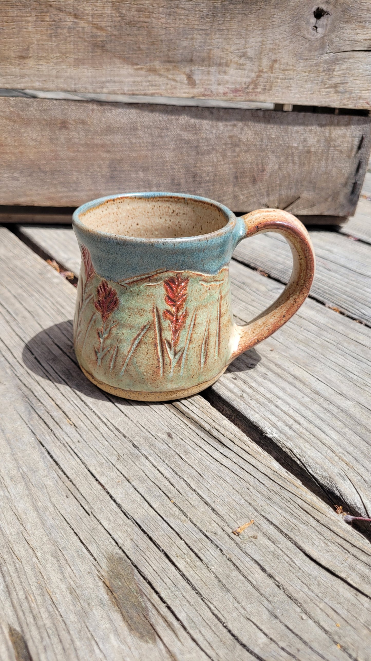 Mountain Thrown Indian Paintbrush in the Mountains Mug 10oz