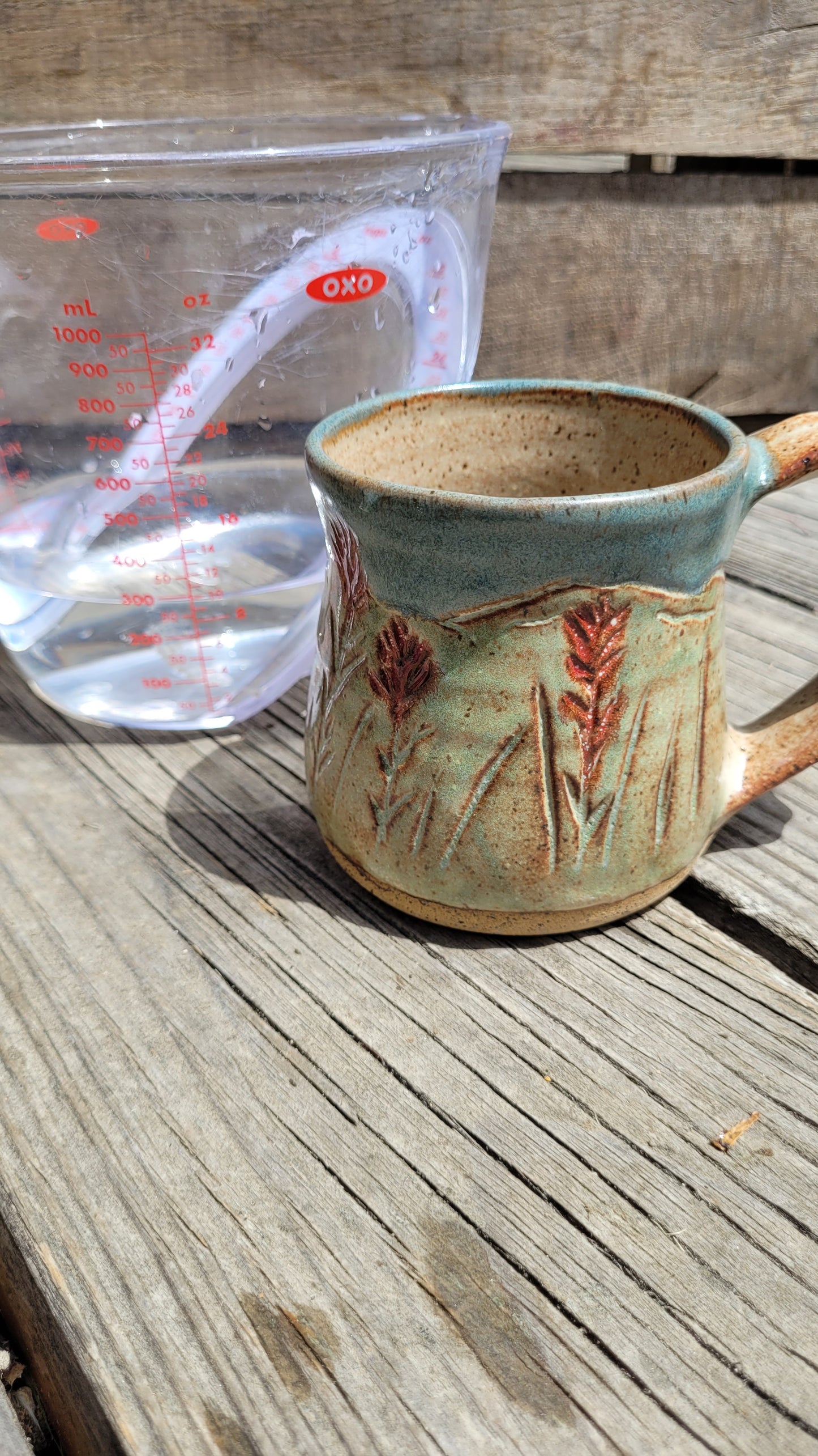 Mountain Thrown Indian Paintbrush in the Mountains Mug 10oz