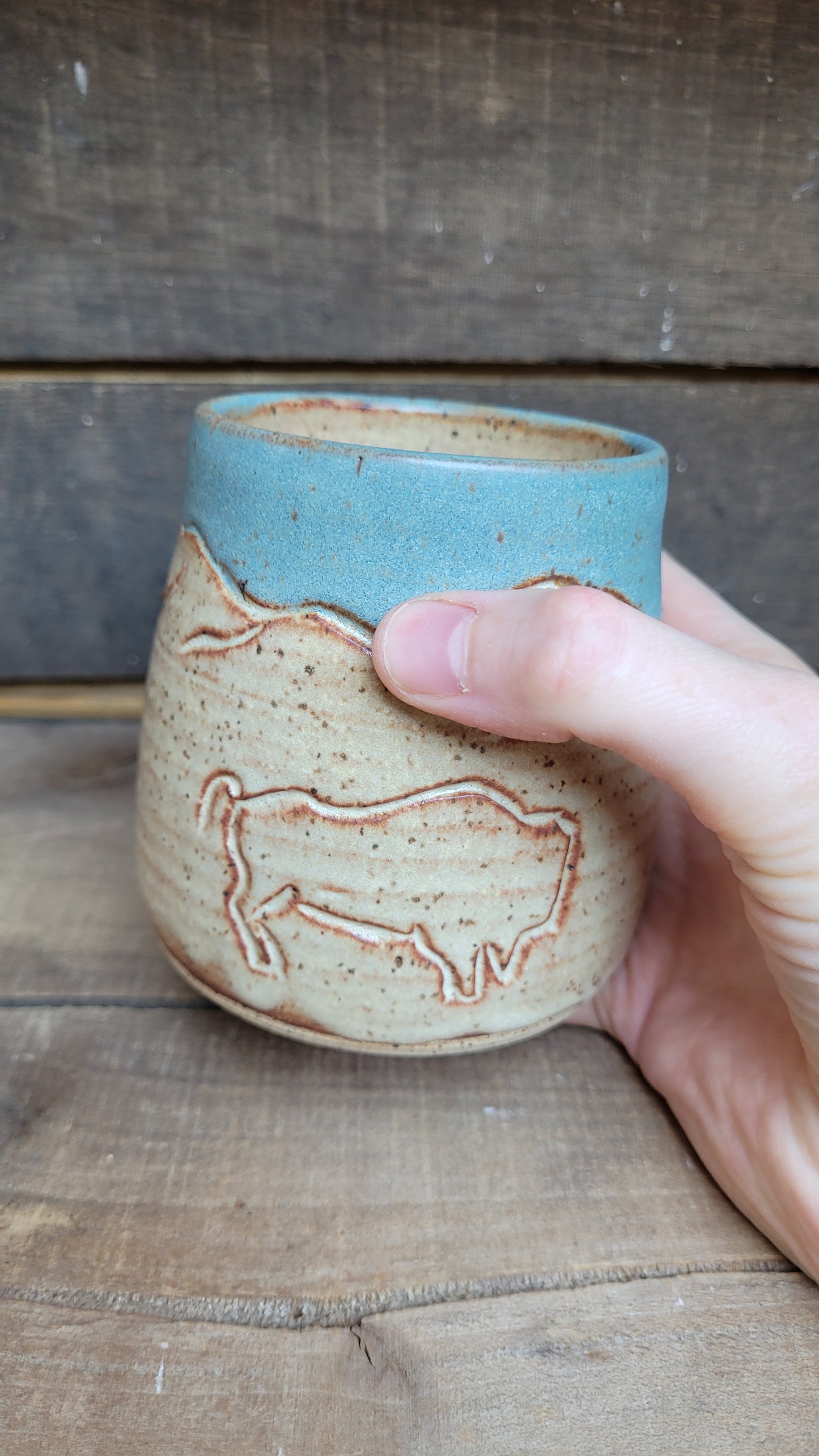 Chai Sky Buffalo Mountain Cup 14oz