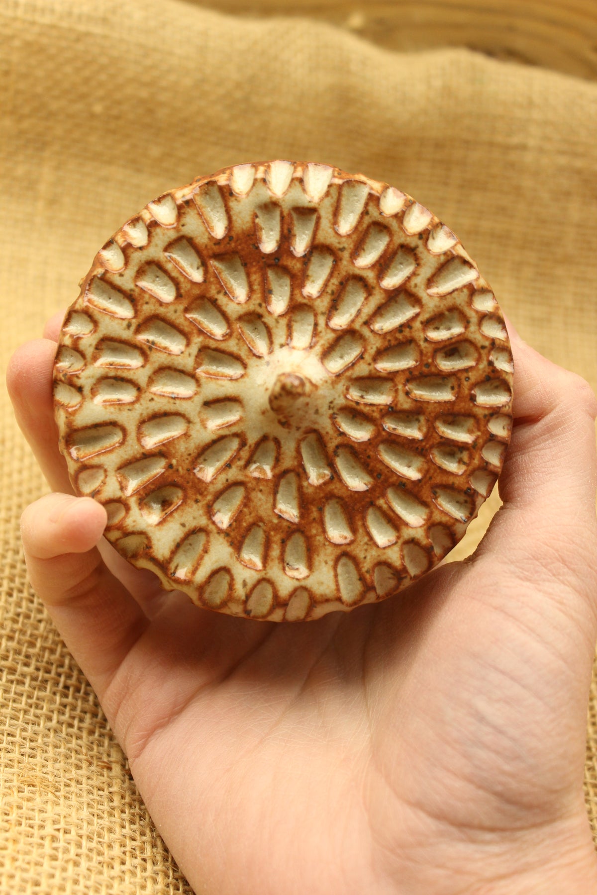 Chai Hollow Acorn
