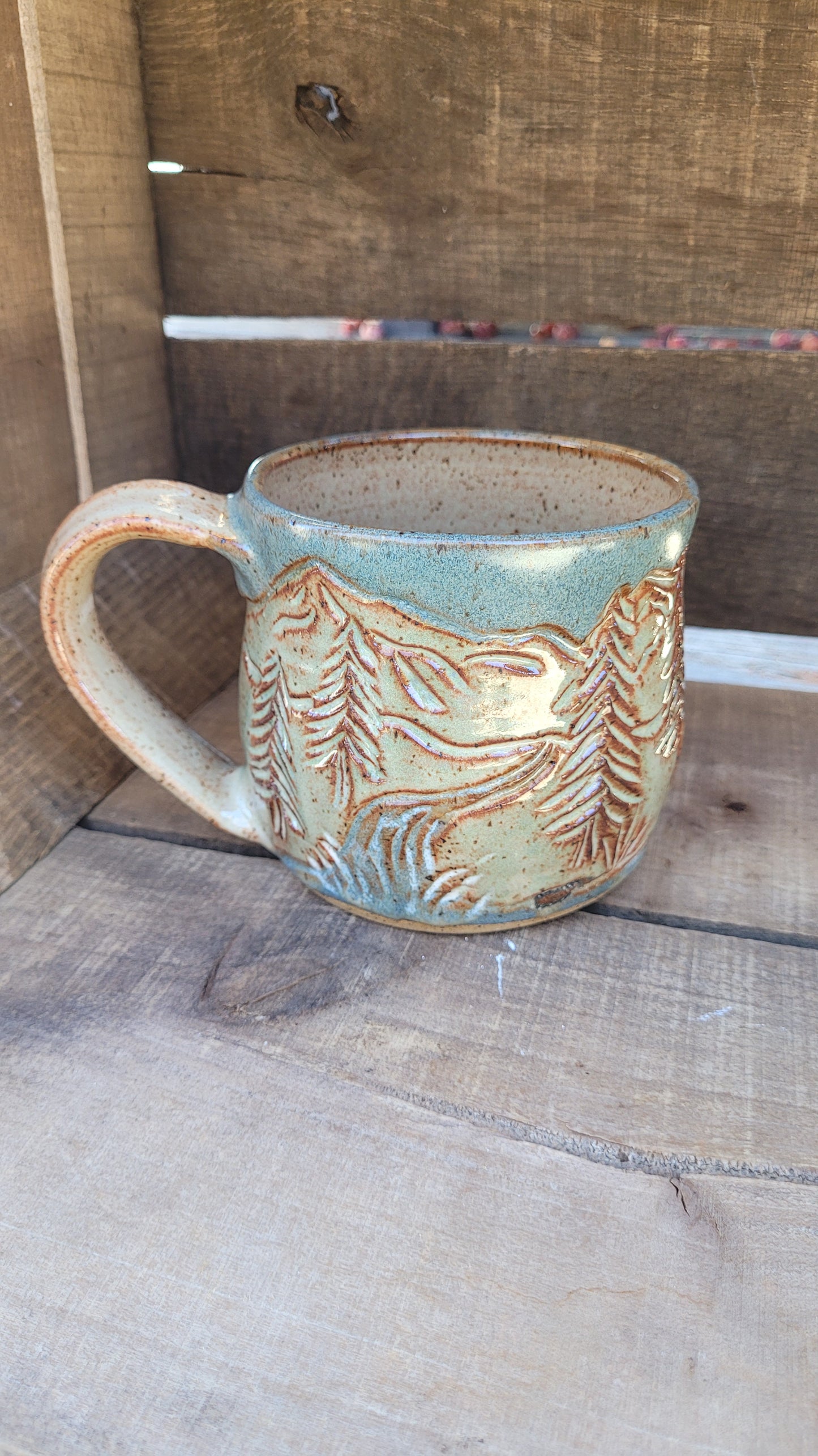 Mountain Waterfall Mug 16oz