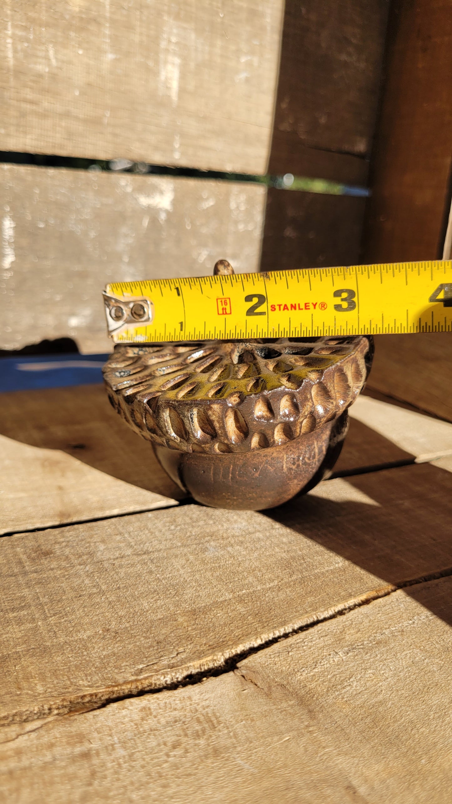 Mountain Thrown Hollow Acorn