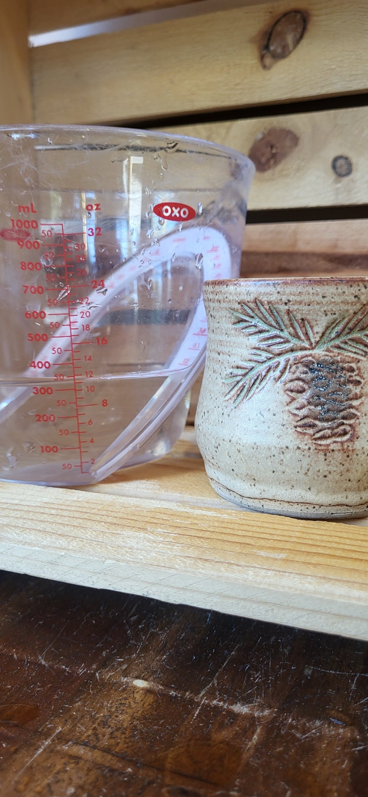Pine Bough Cup 11oz