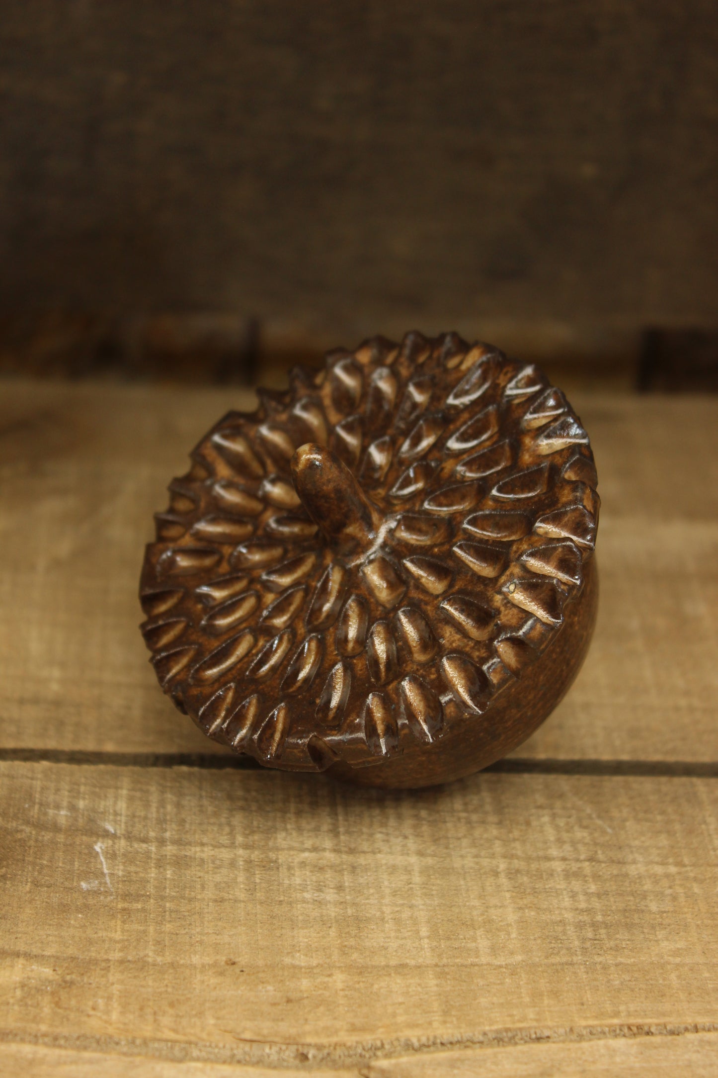 Cacao Wheelthrown Acorn #1
