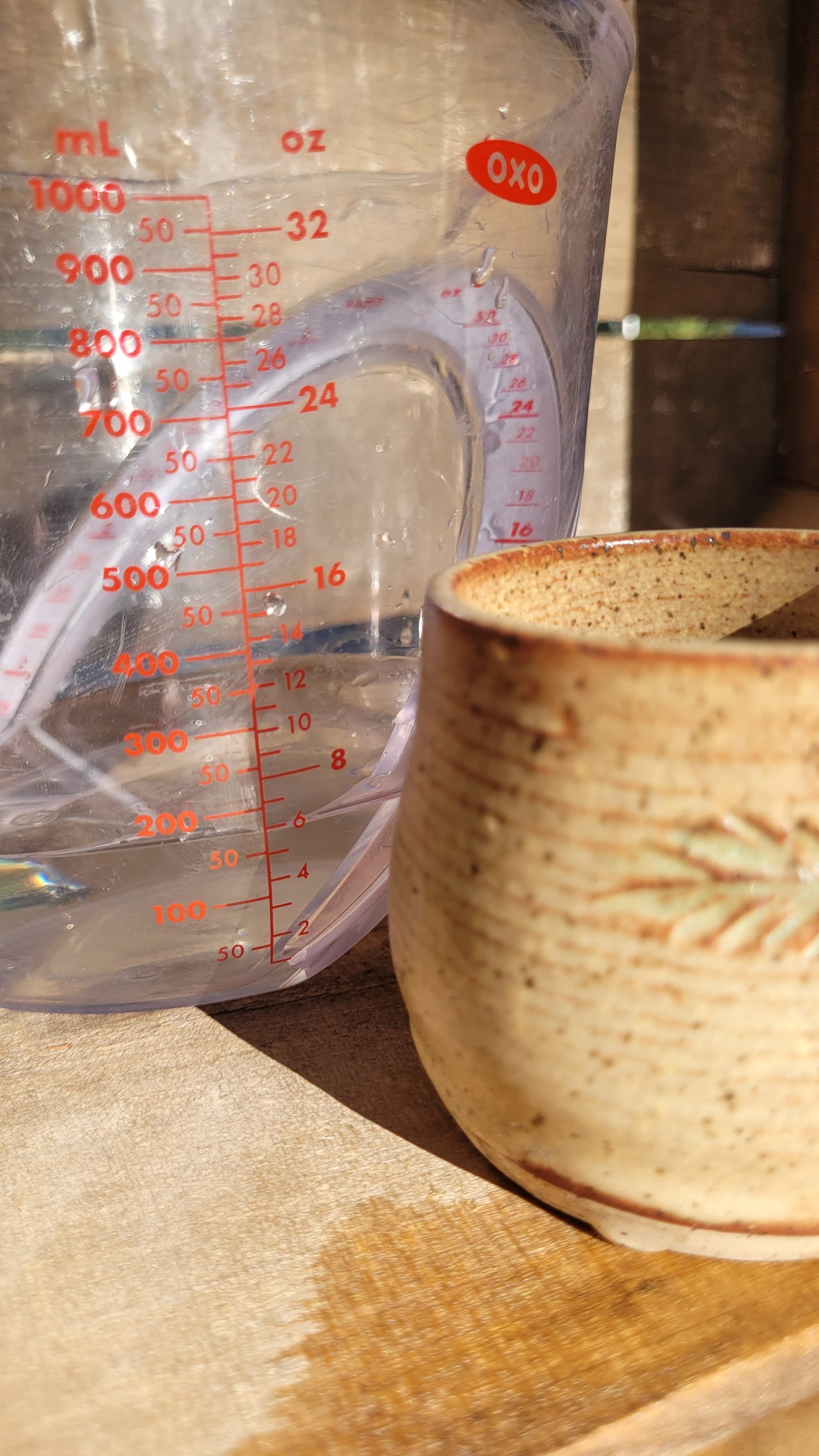 Pine Bough Espresso Cup 6oz