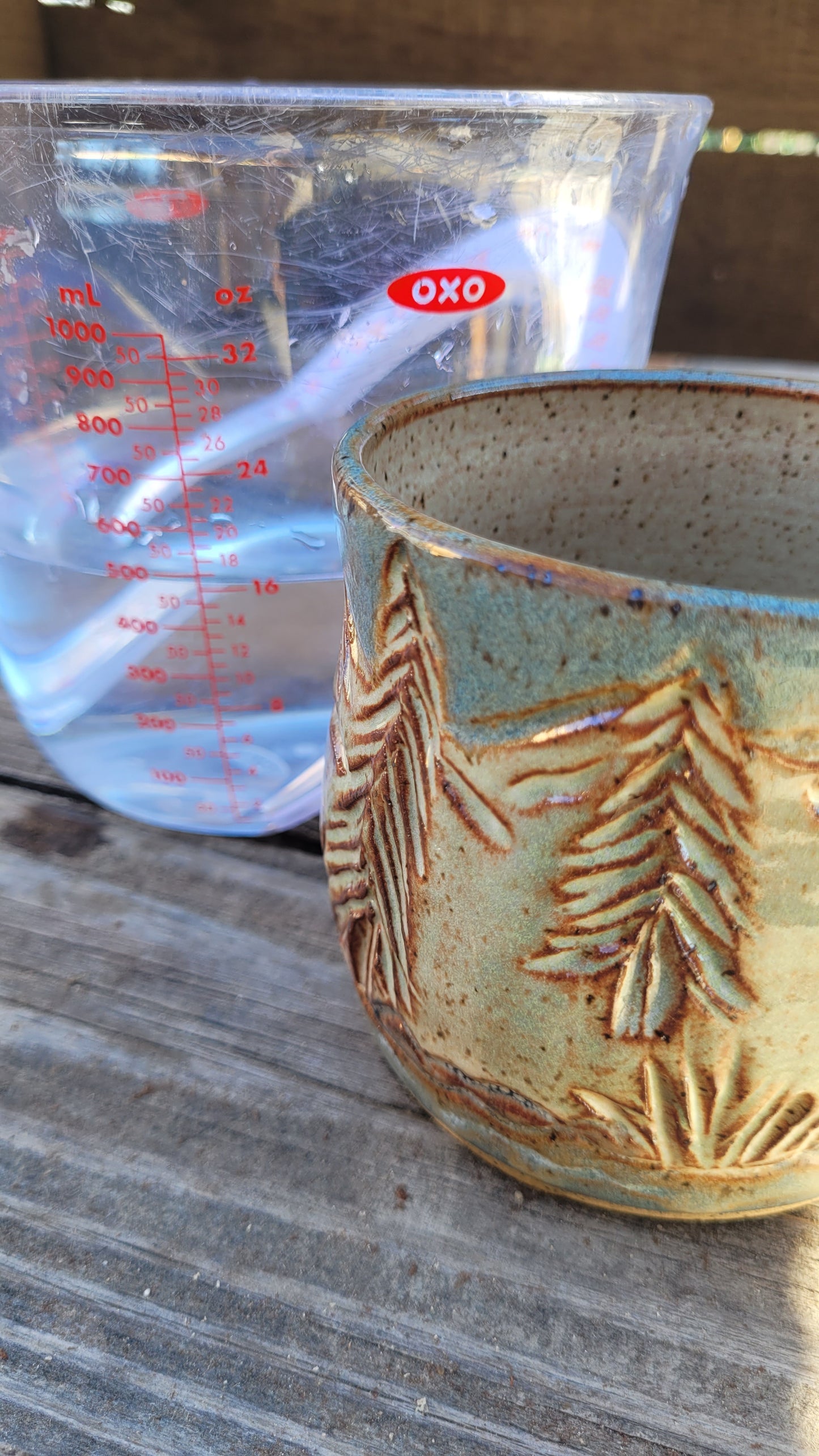 Mountain Waterfall Mug 16oz