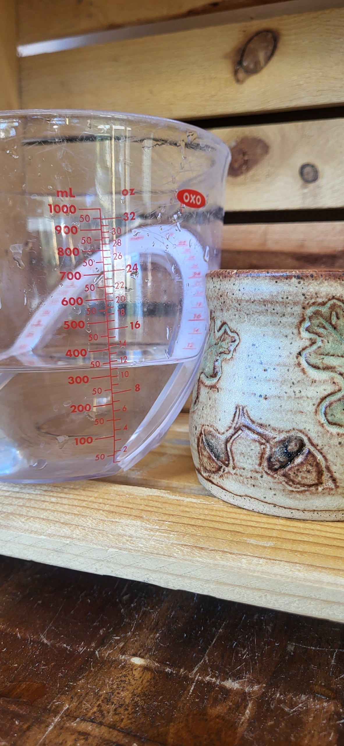 Oak & Acorns Cup #2 11oz