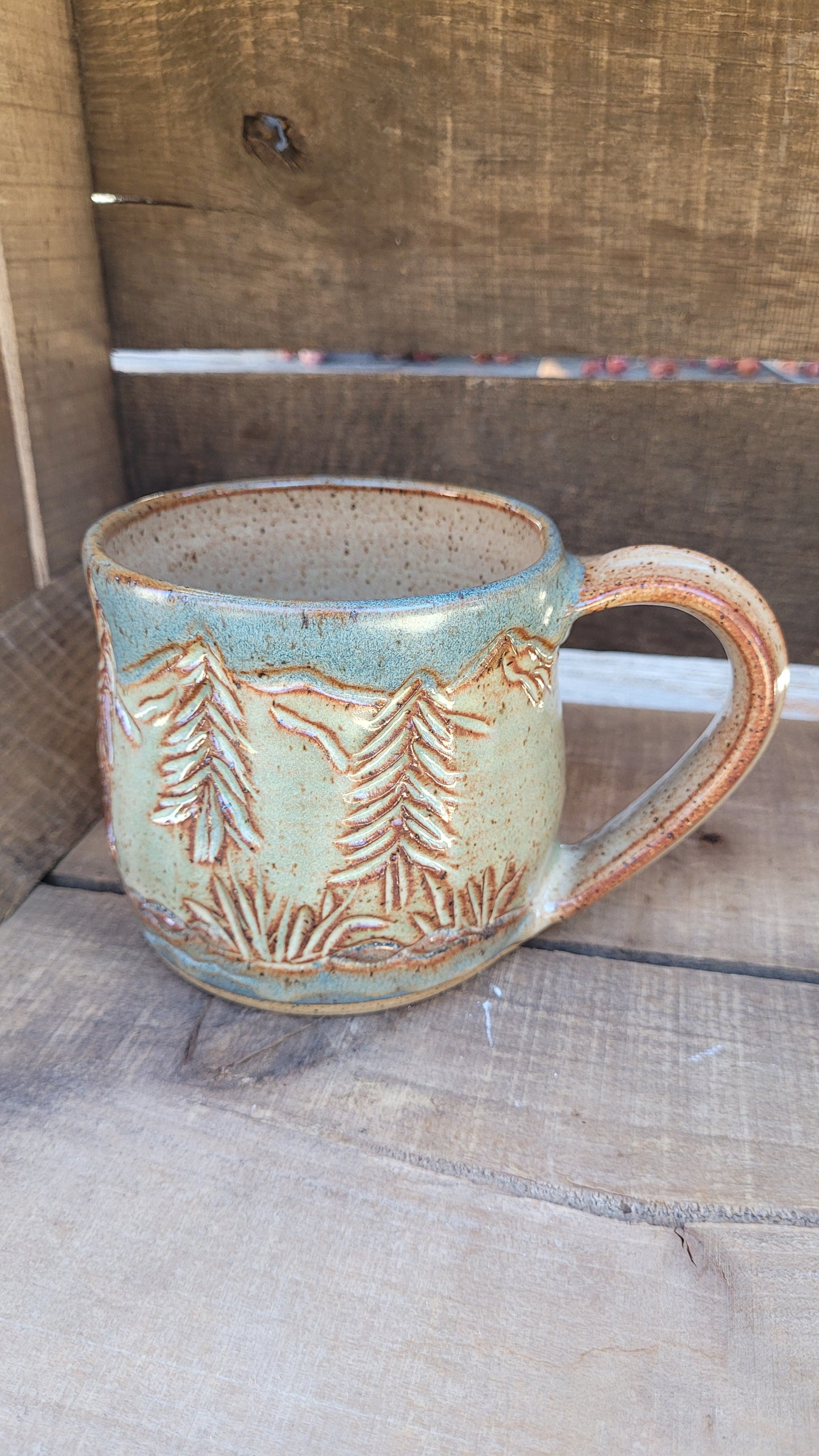 Mountain Waterfall Mug 16oz