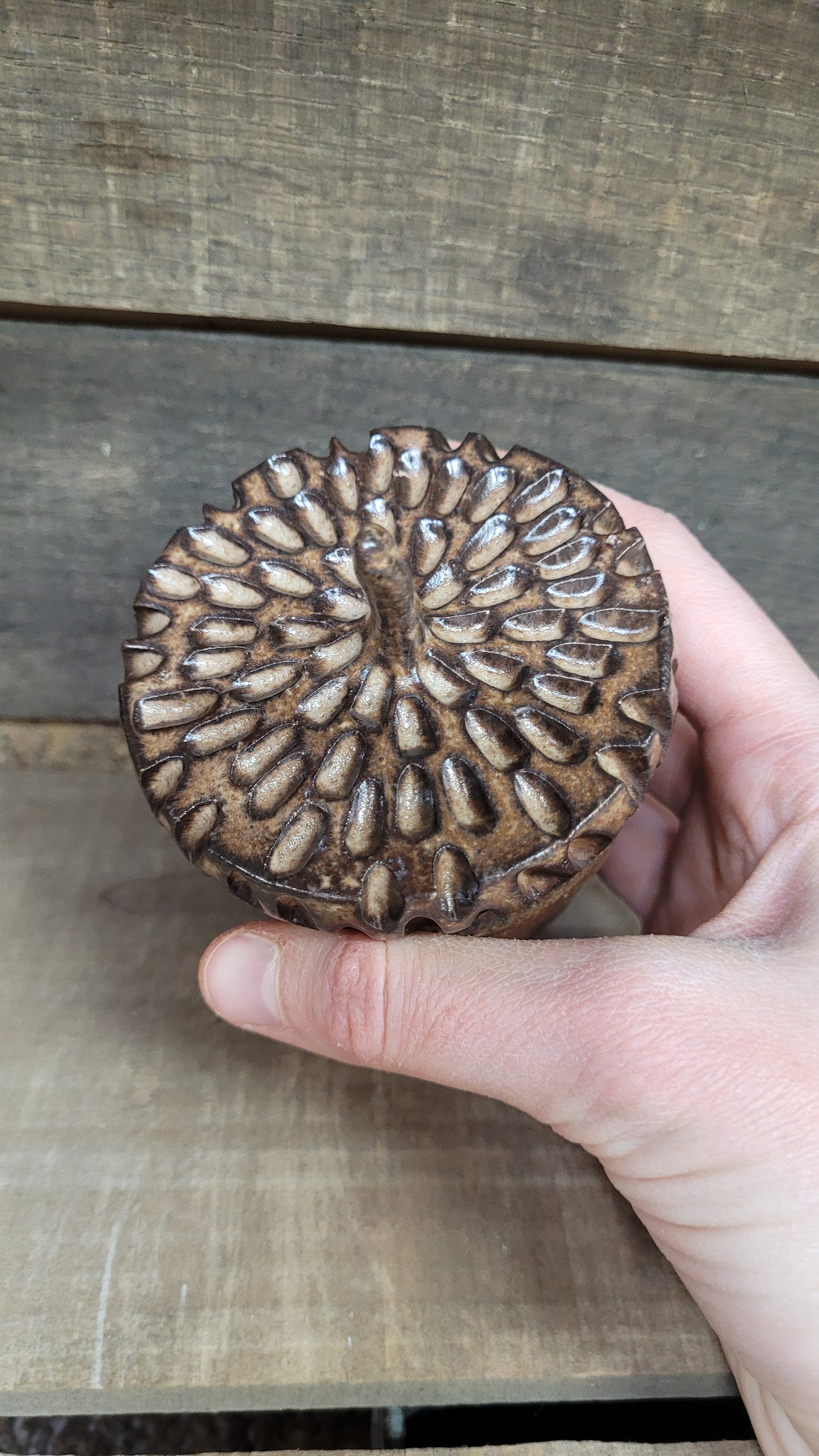 Cacao Wheelthrown Hollow Acorn 25-824