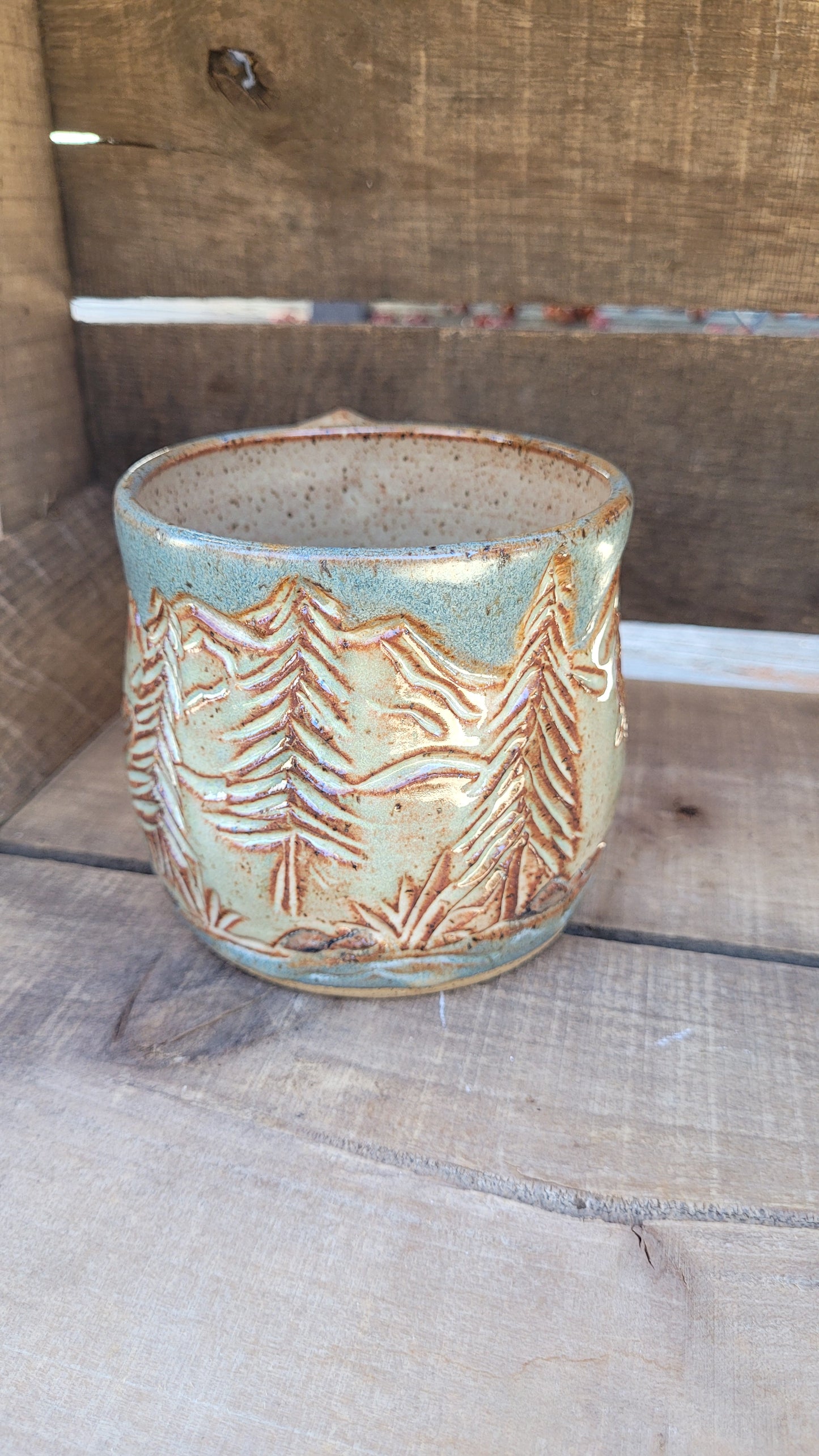 Mountain Waterfall Mug 16oz
