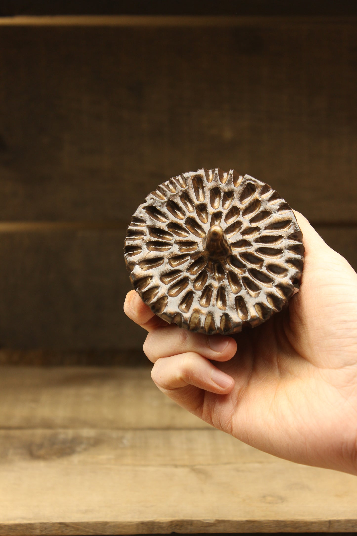 Cacao Wheelthrown Acorn #1