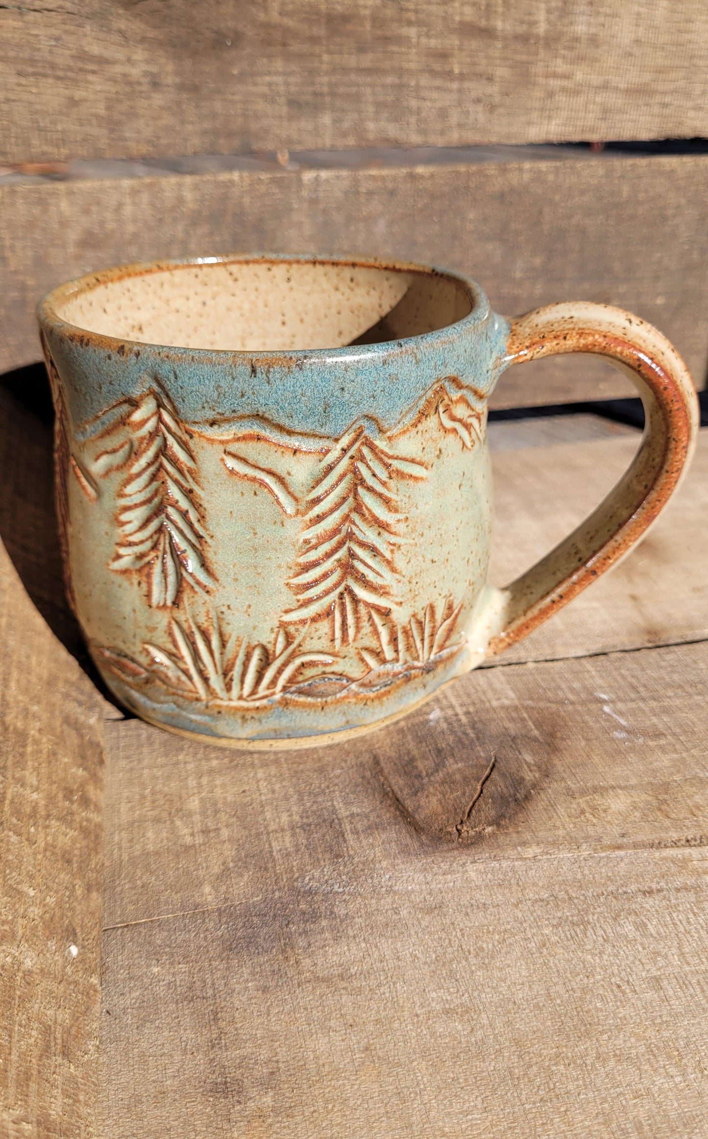 Mountain Waterfall Mug 16oz