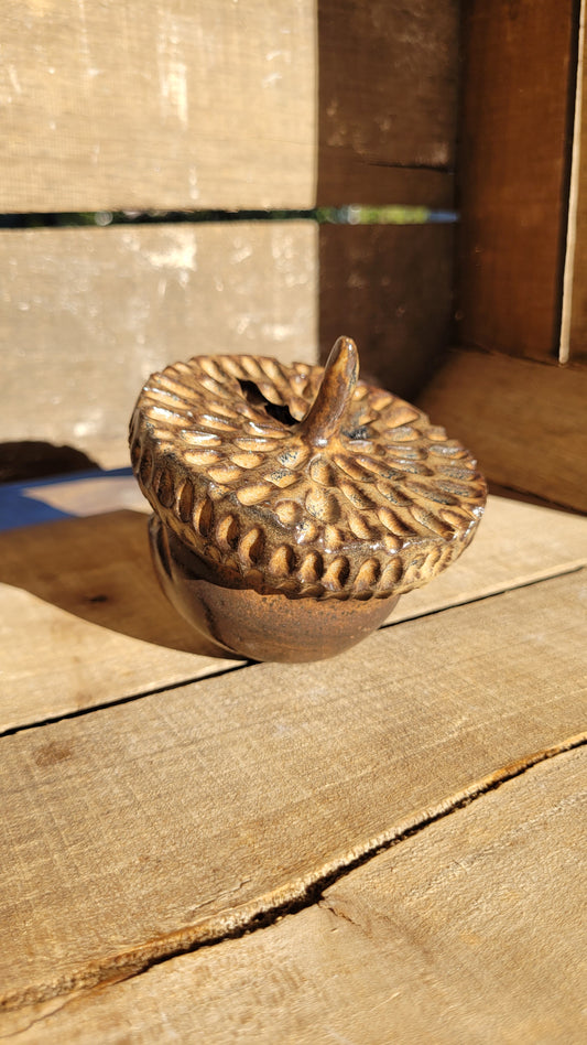 Mountain Thrown Hollow Acorn