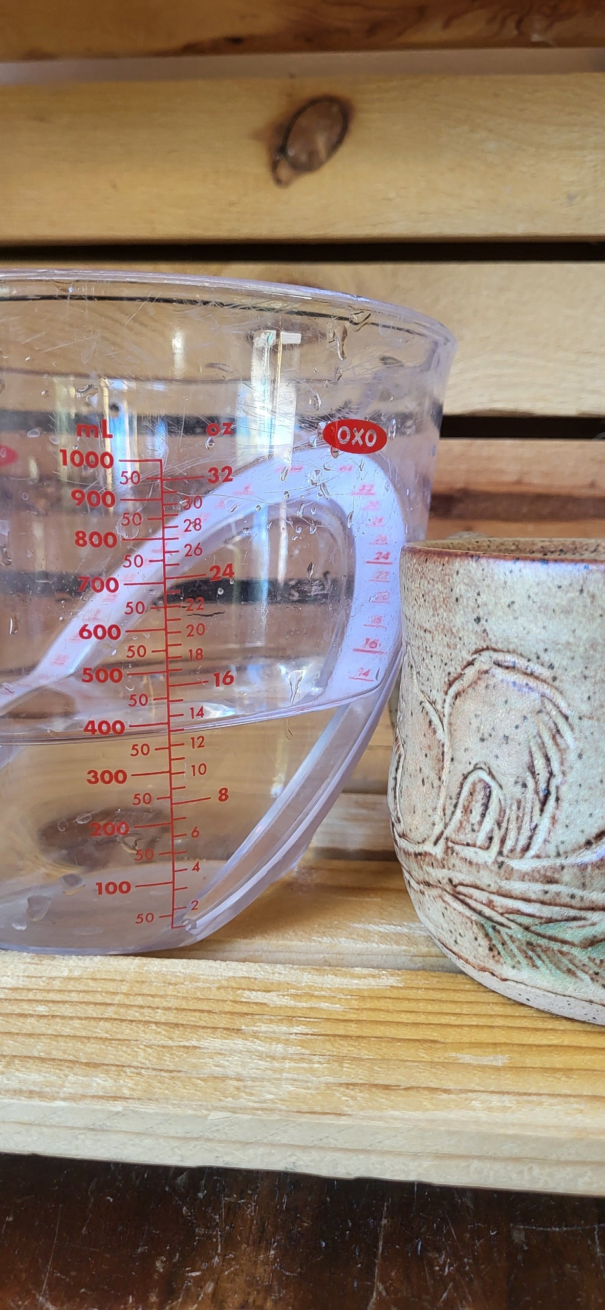 Mountain Thrown Squirrel in the Mountains Mug 13oz